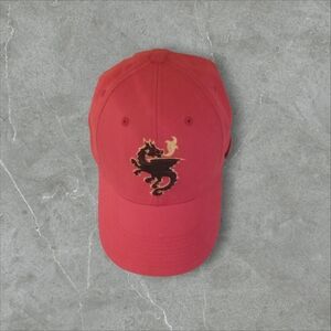 Vintage Nike New York AFL  Dragon Cap